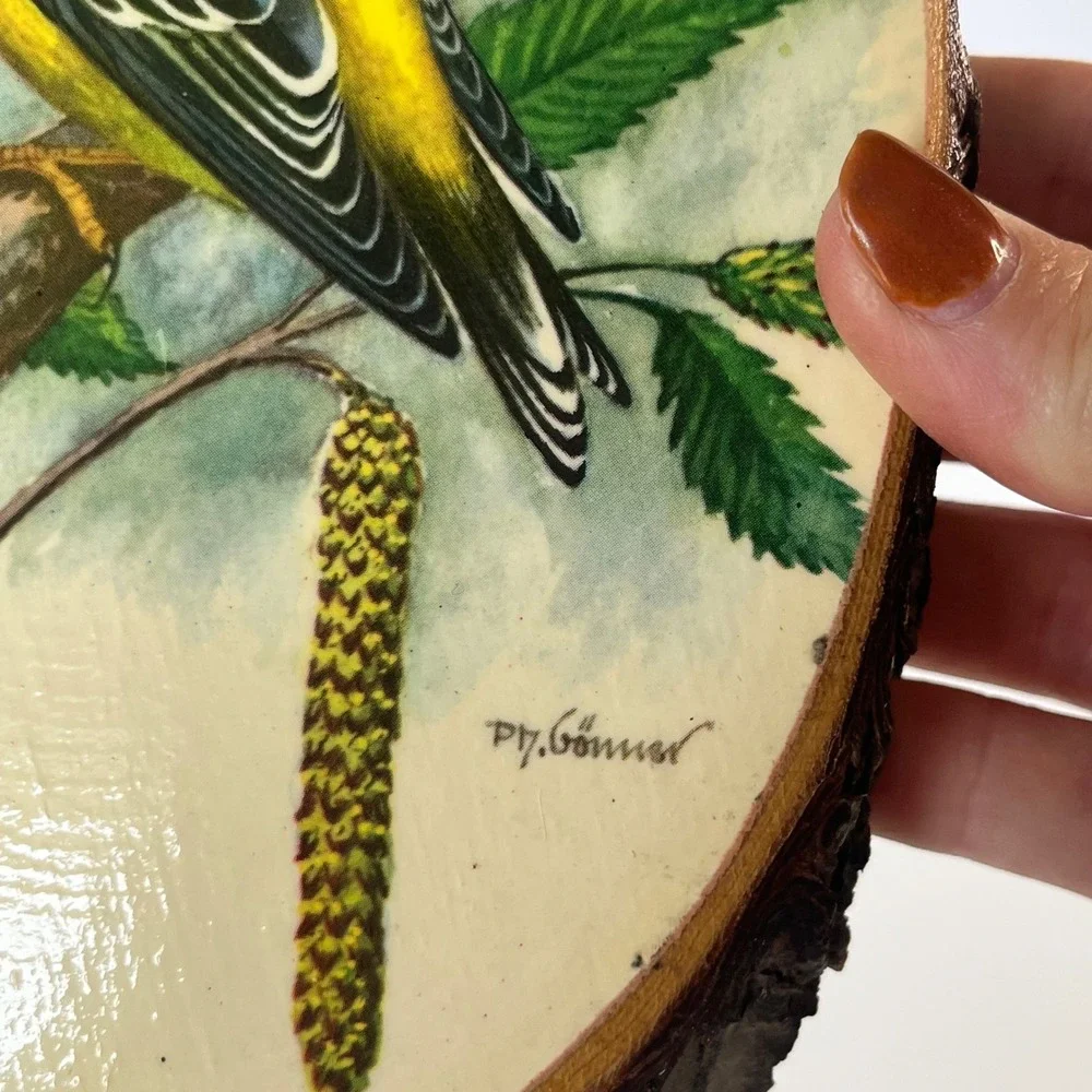 Vintage P.H. Gonner Bird Wood Slice Wall Plaques Set Bluebird Goldfinch Kinzua